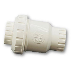 PVC Check Valve 3/4