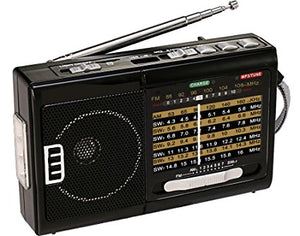 Radio AM FM Qfx R39